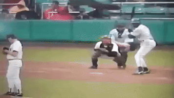 Blue Jays Baseball GIF