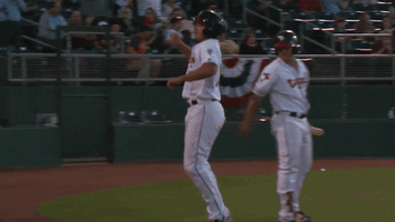 minor league baseball GIF by Lansing Lugnuts