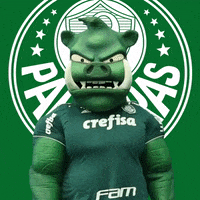 bravo good job GIF by SE Palmeiras