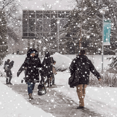 Snow Campus GIF by Université de Sherbrooke