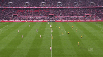 simon terodde soccer GIF by 1. FC Köln