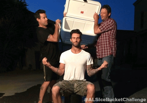 Adam Levine Television GIF by The Voice - Find & Share on GIPHY