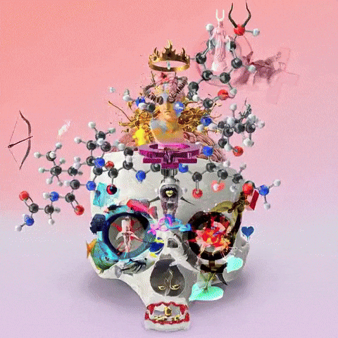 GIF by The LSD Hotel