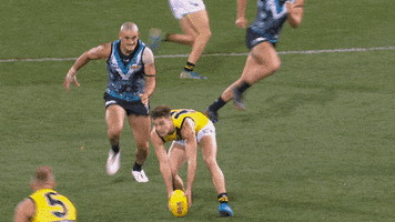 tackle spp GIF by Port Adelaide FC