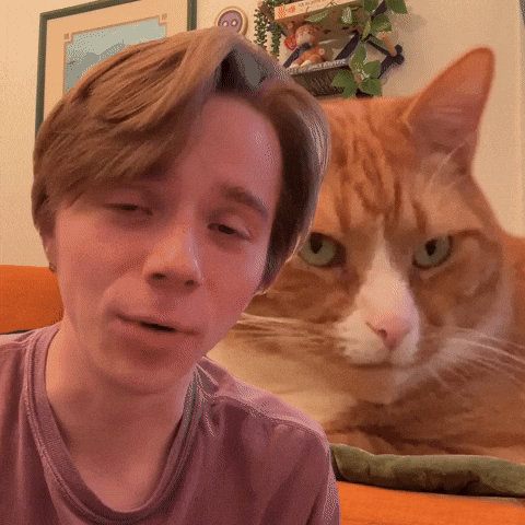 Cat Yawn GIF