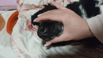 M2 Social Media Marketing GIF