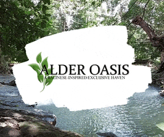 Alder Oasis GIF by BDDRC