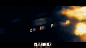 Mixed Martial Arts Fight GIF by Indiecan Entertainment Inc.