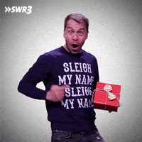 Merry Christmas Yes GIF by SWR3