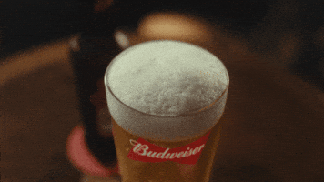Shaking GIF by Budweiser