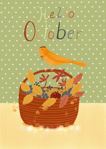 Bird October GIF