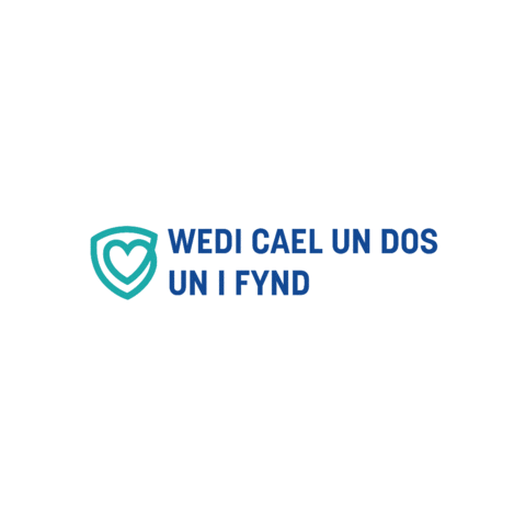 Public Health Wales Sticker