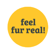 Cats Grooming Sticker by PetsandFriendsUK