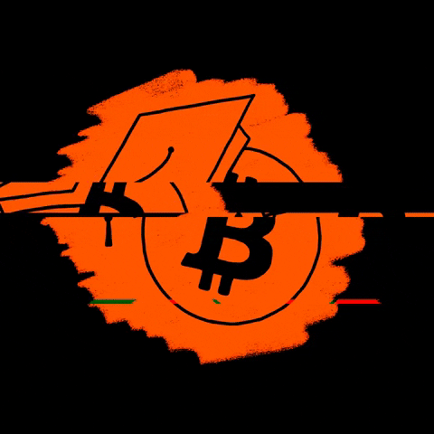 Blocktrainer GIF