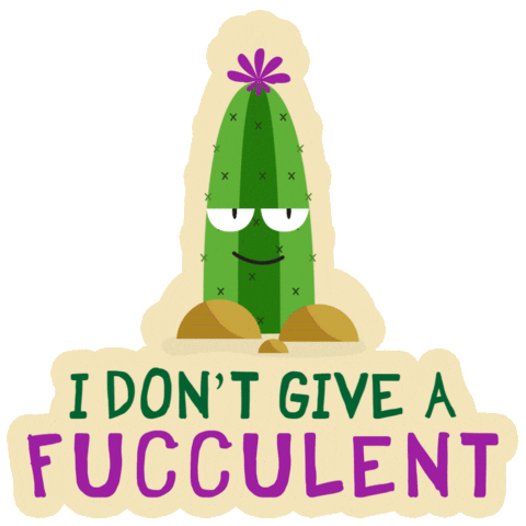 Cactus Cacti Sticker by Plantum