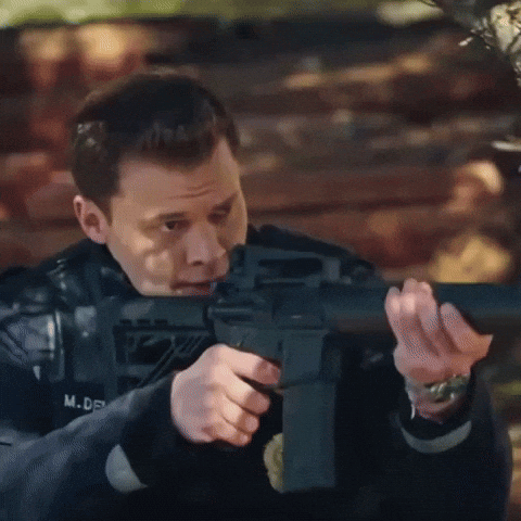 Fire Police GIF