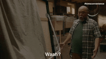 cbc what GIF by Kim's Convenience
