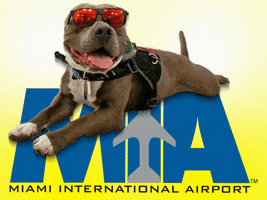 traveling miami airport GIF by Miami International Airport