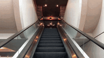 Stairway To Heaven Restaurant GIF by Orlando International Airport (MCO)