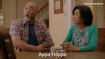 st patricks day beer GIF by Kim's Convenience