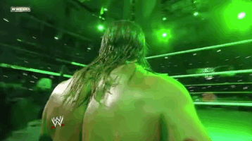 Triple H Wrestling GIF by WWE