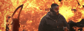 Celebrate GIF by DJ Khaled