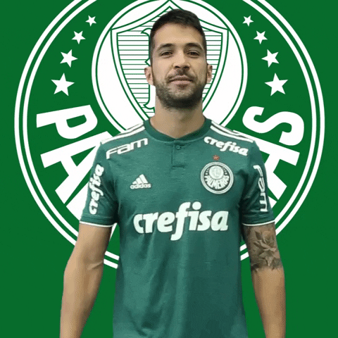 ta bom ok GIF by SE Palmeiras