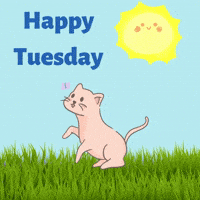 Happy Tuesday GIF by Zack Kantor - Find & Share on GIPHY Happy Tuesday GIF by Zack Kantor - Find & Share on GIPHY