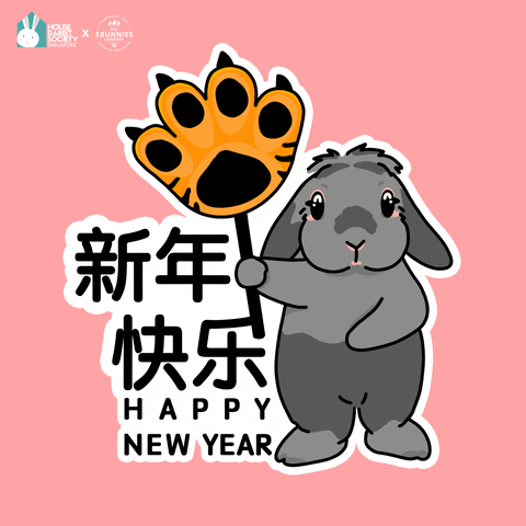 New Year Bunny GIF by the3bunnies.co