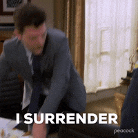 Season 6 Episode 10 GIF by Parks and Recreation