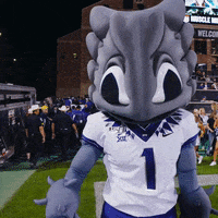 Horned Frogs College GIF by TCU Football