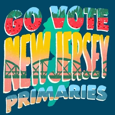 Voting New Jersey GIF