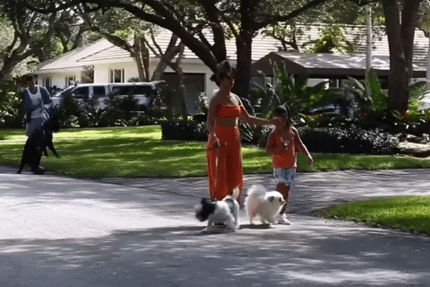 giphy.gif?cid=4d1e4f2931968f4f07bb0070ed
