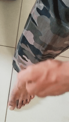 Duck Proof GIF