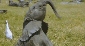 giphy.gif?cid=790b7611315c0519f721a1e249