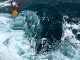 200.gif?cid=fc005b08dfd94958a4f43da4ef1ba59cbece1c356469255f&rid=200.gif&ct=g