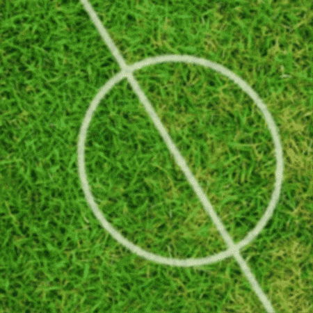 World Cup Celebration GIF by TeaCosyFolk