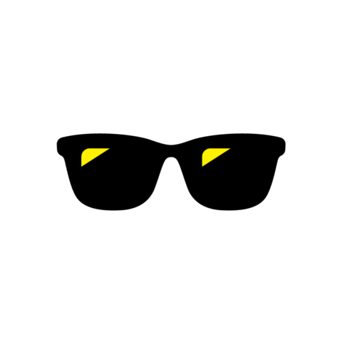 Summer Sunglasses Sticker by Bling King Carwash