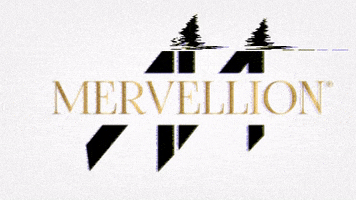 mervellion GIF