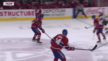 Fall Nhl GIF
