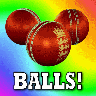 Cricket Blarney GIF