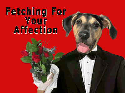 affection