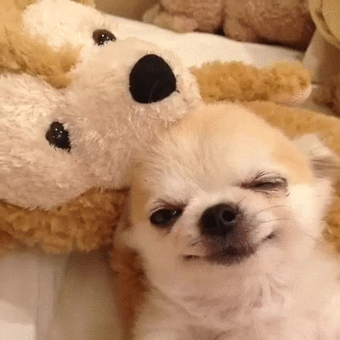Moe thuis GIF