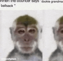 Nooshpaps Dookiegrandmaballsack Funnymonkey GIF