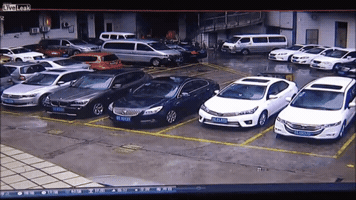 farkers  GIF