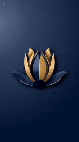 GIF by Sqt Ire