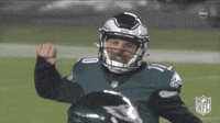 Philadelphia Eagles Smile GIF by NFL - Find & Share on GIPHY