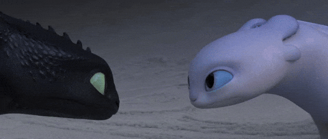 Night Fury Love Gif By How To Train Your Dragon Find Share On Giphy