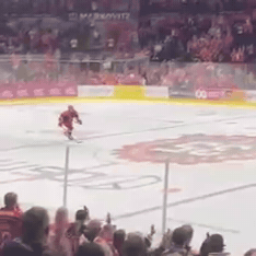 Ice Hockey Steelers GIF