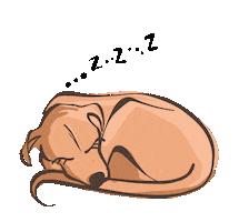 Dog Sticker
